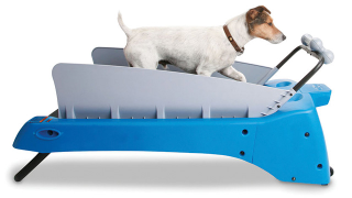 Illustration for article titled 7 Tools For Negligent Pet Owners